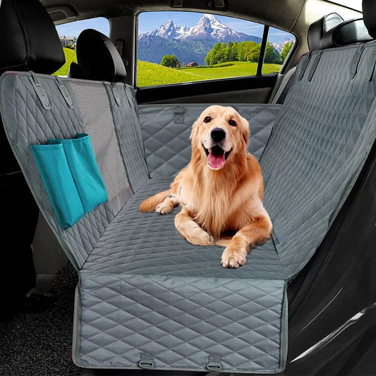 Travel Pet carrier